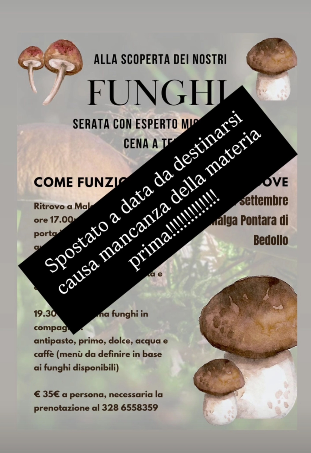 Mostra micologica